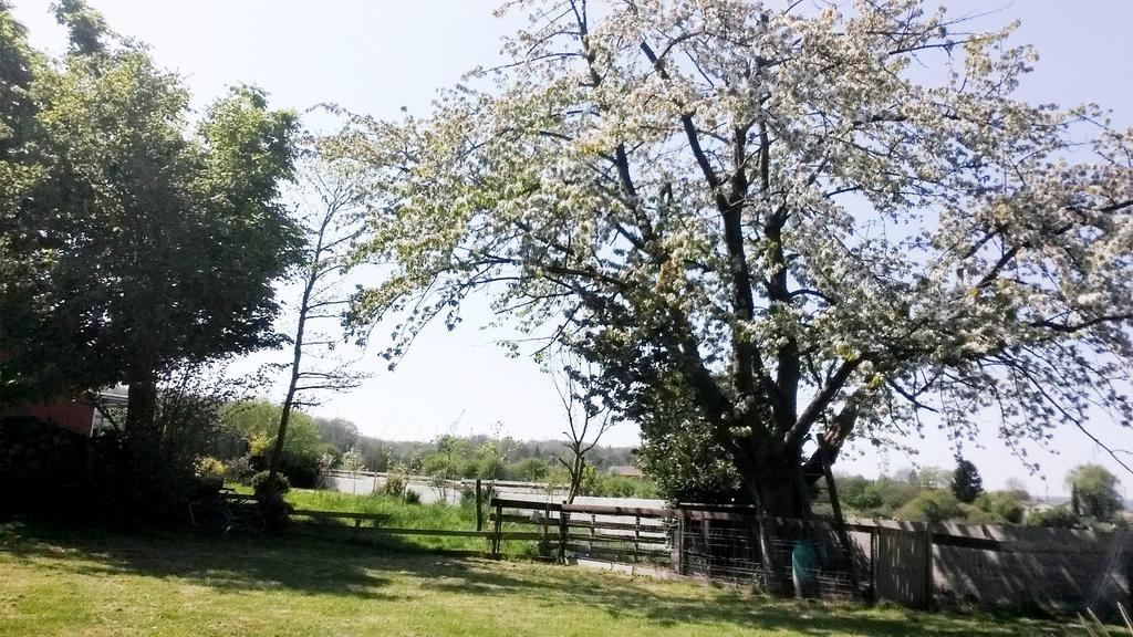Gite Labradors De Bailly - Giverny Saint-Pierre-la-Garenne Zewnętrze zdjęcie